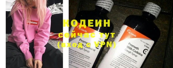 дмт Богданович