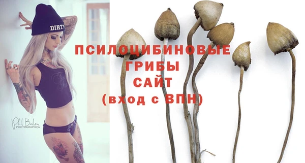 дмт Богданович