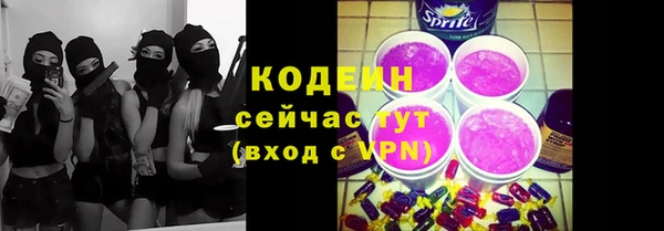 СК Бронницы