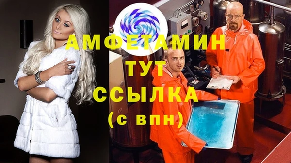 дмт Богданович