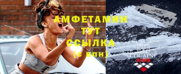 СК Бронницы
