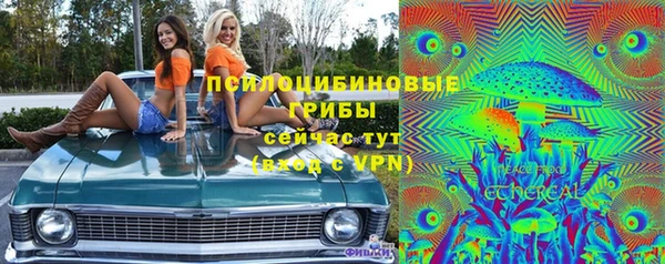дмт Богданович