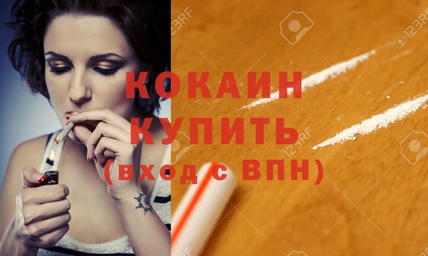 дмт Богданович